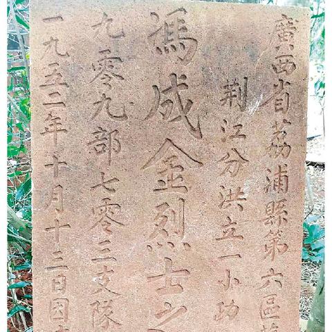 桂林市荔浦市属于哪个省