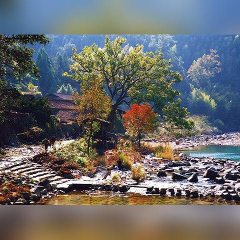 [苏州锦溪古镇好玩吗]长尾关键词有什么