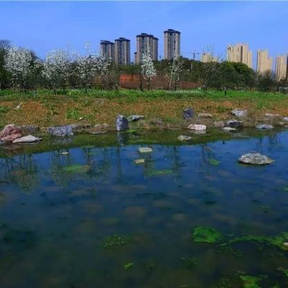 长沙市直与宁乡市哪个好