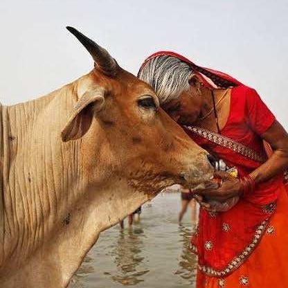 印度电影圣物免费观看的长尾关键词有哪些