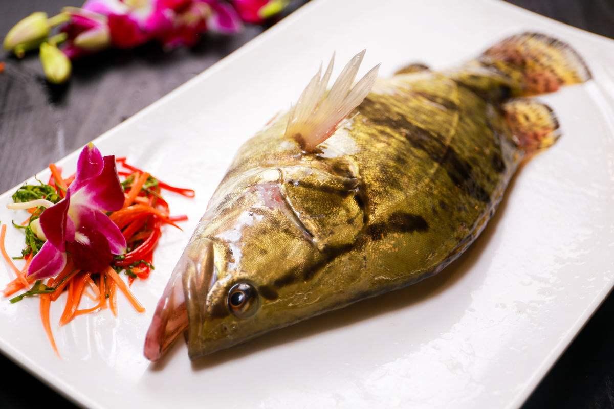 美食什么鱼（临沂美食排行榜前十鱼）