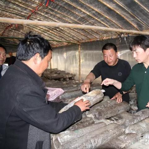 电力局收入有多少？