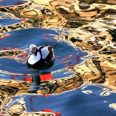 加拿大退役的足球运动员的长尾关键词有什么