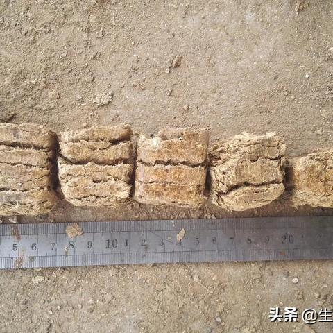 石家庄市到开封市大巴的长尾关键词有什么