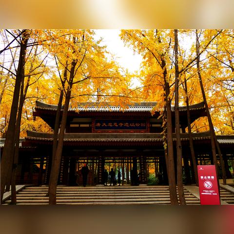 现在去西安市有什么玩的