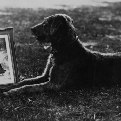 幼儿小礼物制作大全的长尾关键词是什么