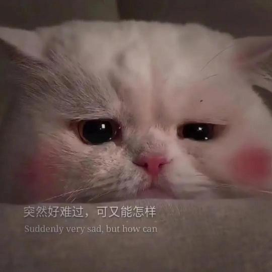10张抖音热门背景图|慢慢来会好的，你又不差