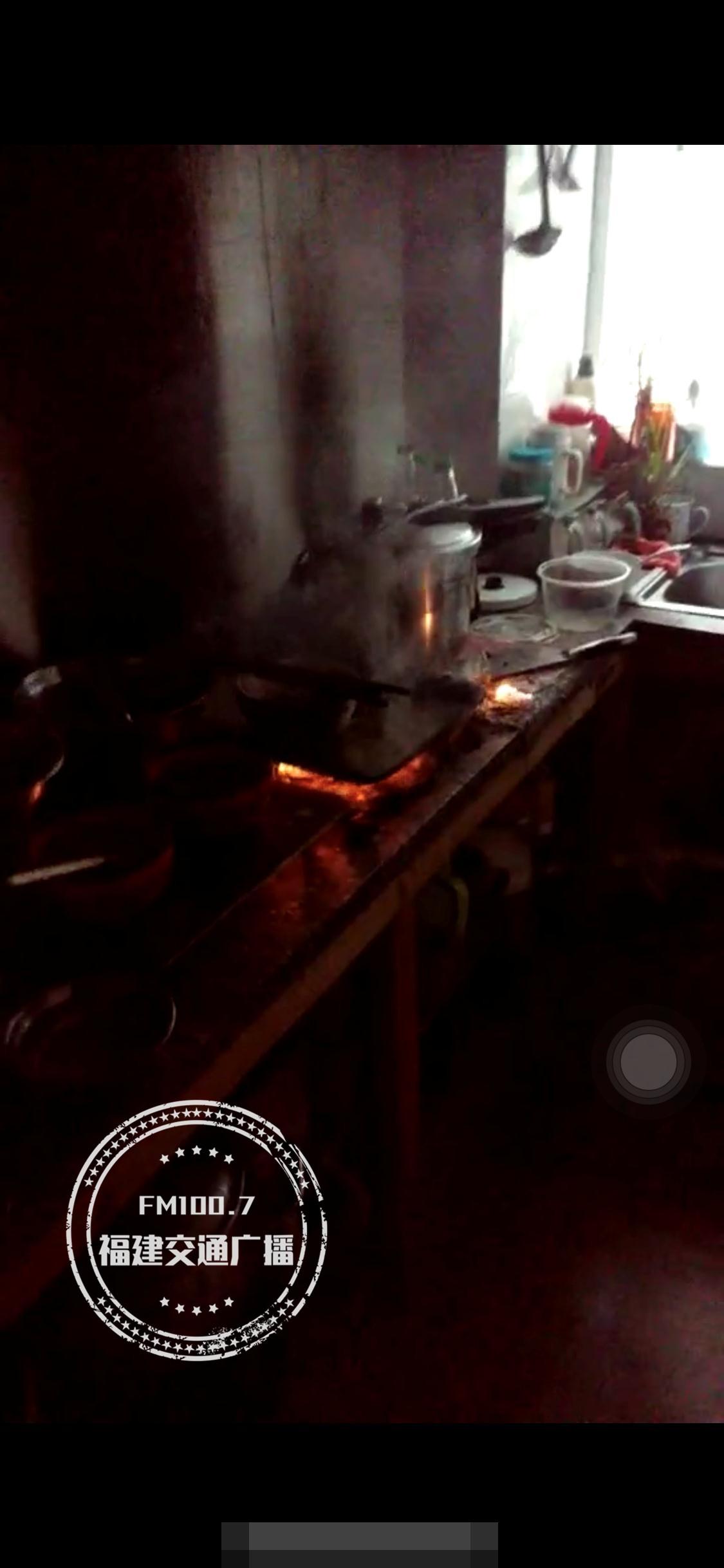 蟑螂进入电磁炉故障