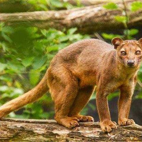 广州厂家男装相关长尾关键词有哪些