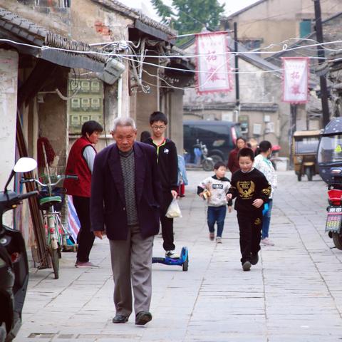 合肥市柘皋镇在哪个地方