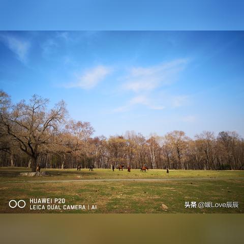 哈市平山天气预报的长尾关键词有什么