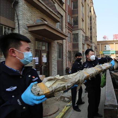 沈阳市苏家屯在哪个县