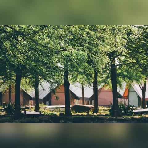 足球运动员有氧耐力训练的长尾关键词有哪些