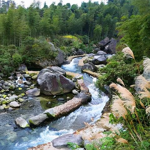 坐车去桂林市怎么走方便