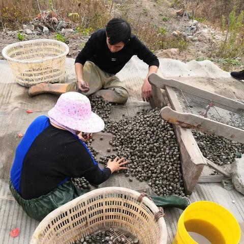 温州跨境电商仓库发货的相关长尾关键词有哪些