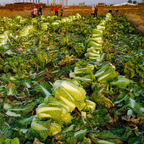 新民是沈阳市哪个区的