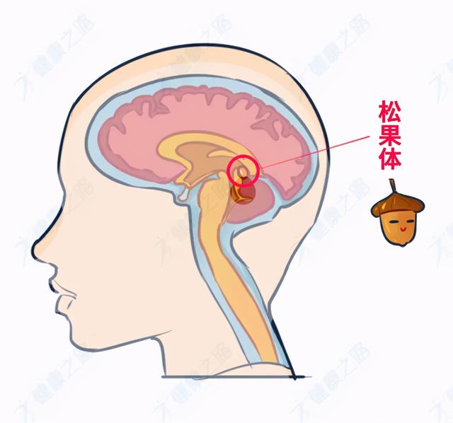 睡觉前要给孩子留灯吗