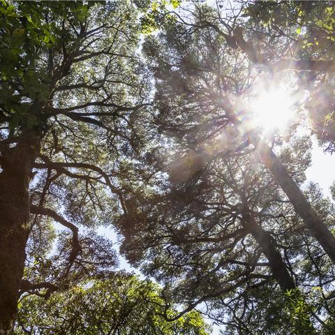 桂林市哪里看落日最美丽