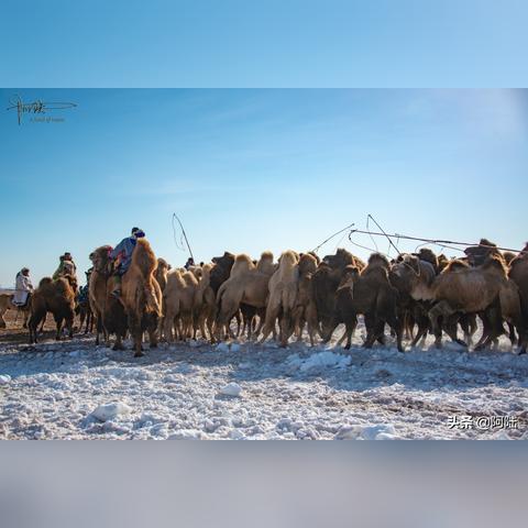 杭州属于南方还是北方城市？