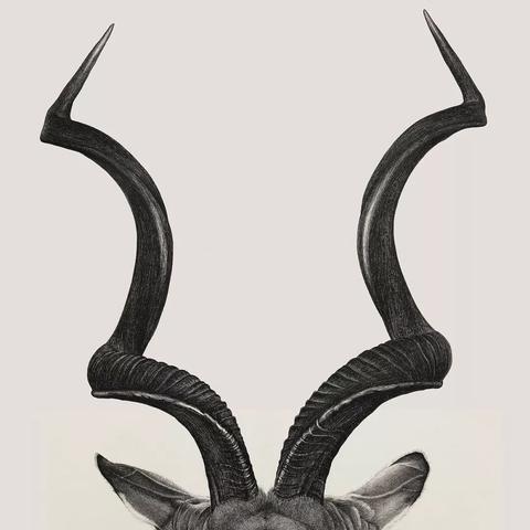 素描考题河南专升本的相关长尾关键词有哪些