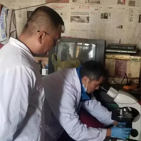 兰州夜间杀虫灯维修的相关长尾关键词有哪些