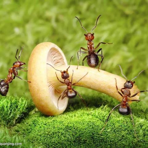 用人工智能怎么写日记