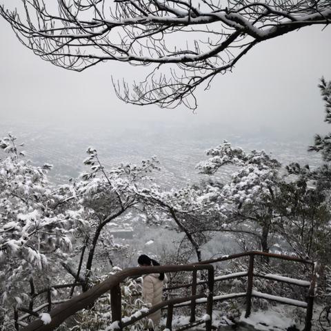 下雪前下的小冰粒叫什么