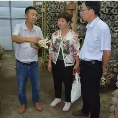 在河南南阳地区适宜种植什么经济作物收益高？