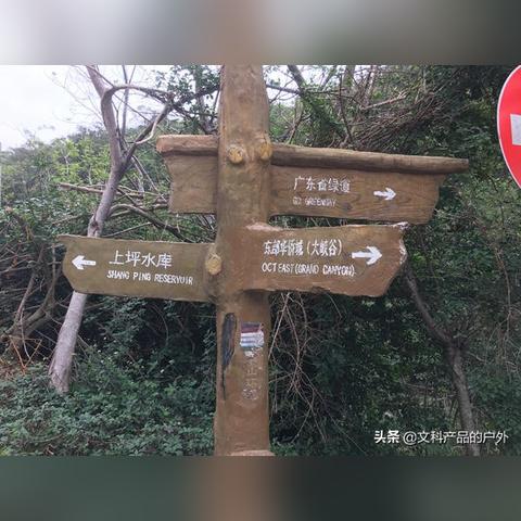 深圳市梅沙村在哪个区