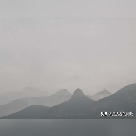 保定市竞秀区包括哪些村