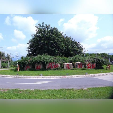 长沙万科森林公园进度相关长尾关键词有哪些