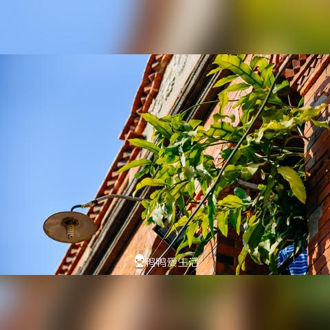 泉州市有多少年历史