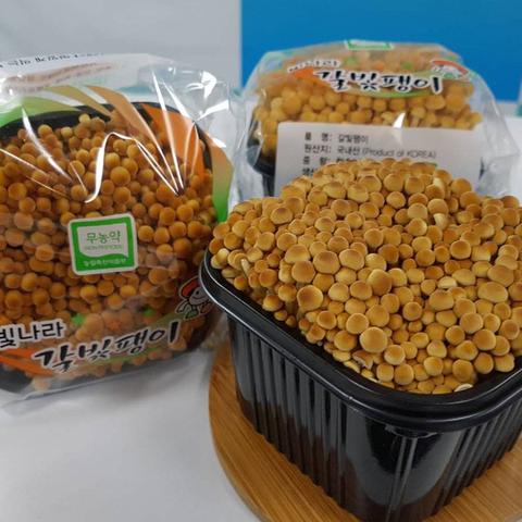 韩国电影R级蘑菇影视的长尾关键词有哪些