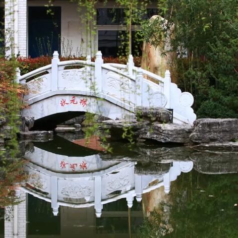 合肥市国际花都在哪个去