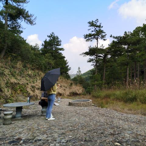 福建邮政集团的相关长尾关键词有哪些