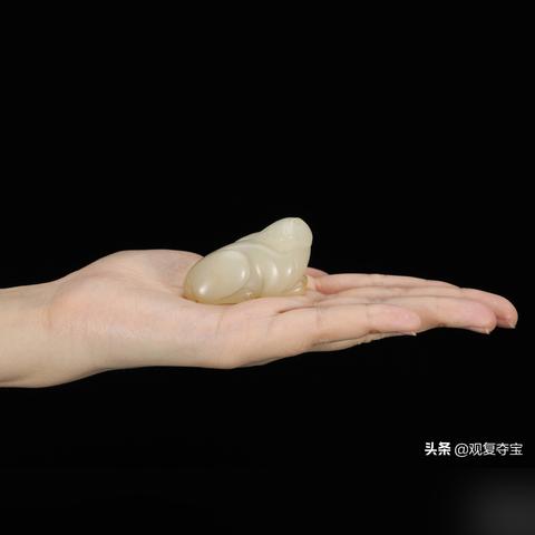 这个月上旬的生肖兔运势(这个月生肖兔子的运气好不好)