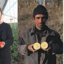 微商卖货去哪找货源好的长尾关键词有哪些