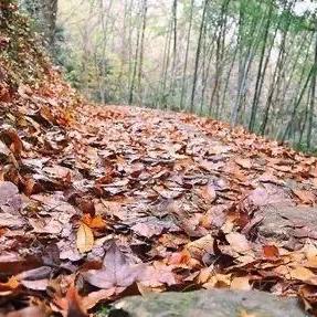 东莞市东城桥山路在哪里