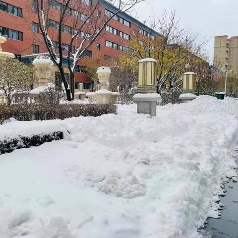 沈阳市哪个小学停课了呢