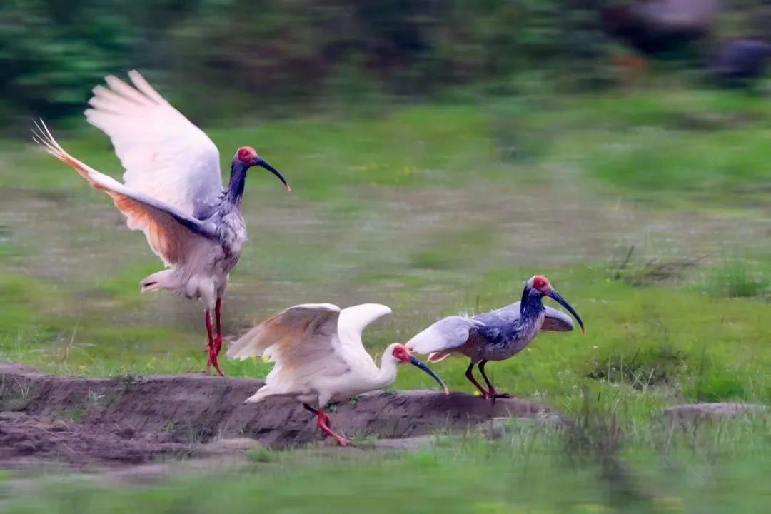 全球确诊超547万例
 /全球确诊超547万例是哪一年