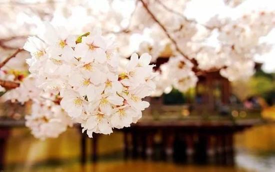 2020年5月1日放假几天
 （2020年5月1日放假几天3倍工资）