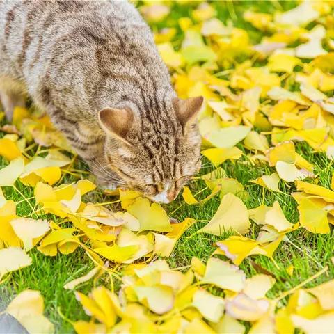 昆明市黄金回收店在哪里