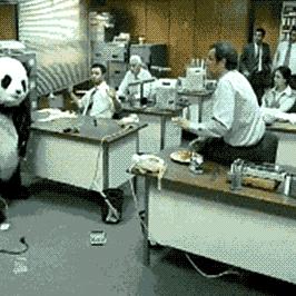 熊猫出没跨境平台的相关长尾关键词有什么