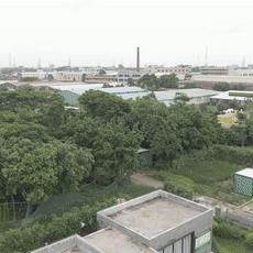 东莞市看儿童到哪里