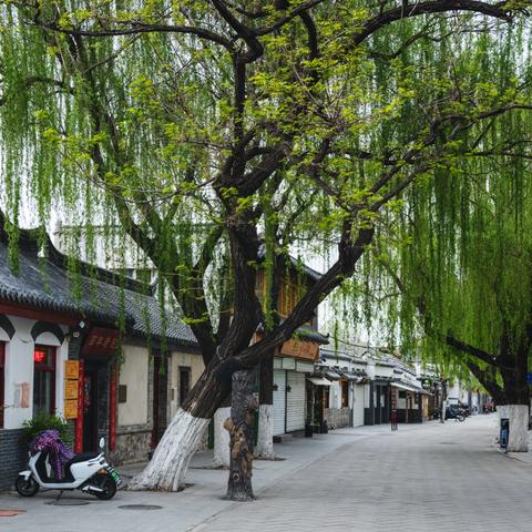 济南市中区的小院有哪些