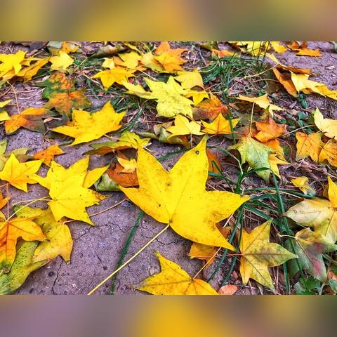 长春市到伊通客车多少钱