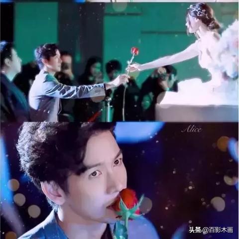 石家庄市加油玫瑰的长尾关键词有什么