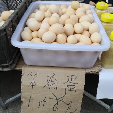 沈阳市小河沿外哪个区