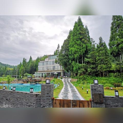 温州市去茶去餐厅怎么样