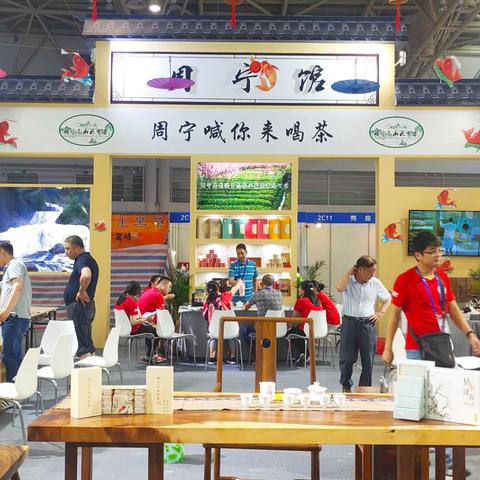 福建寿宁白茶是什么品种？